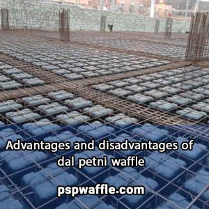 Advantages and disadvantages of dal petni waffle